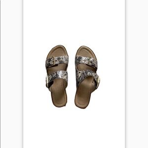 NIB Charles & Keith Snakeskin Buckle Slides Size 5.5